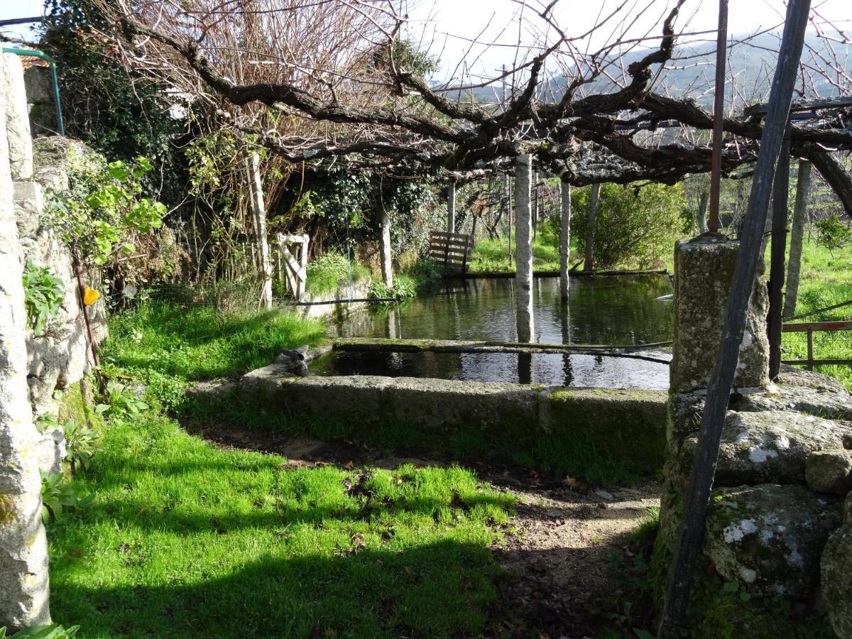 فيلا Quinta De S. Cipriano ريزندي المظهر الخارجي الصورة