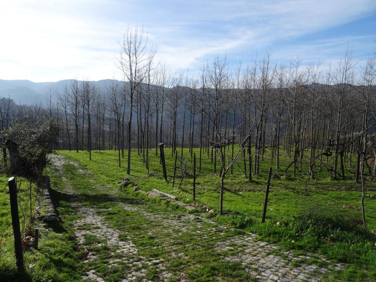 فيلا Quinta De S. Cipriano ريزندي المظهر الخارجي الصورة