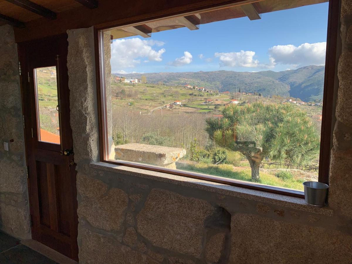 فيلا Quinta De S. Cipriano ريزندي المظهر الخارجي الصورة