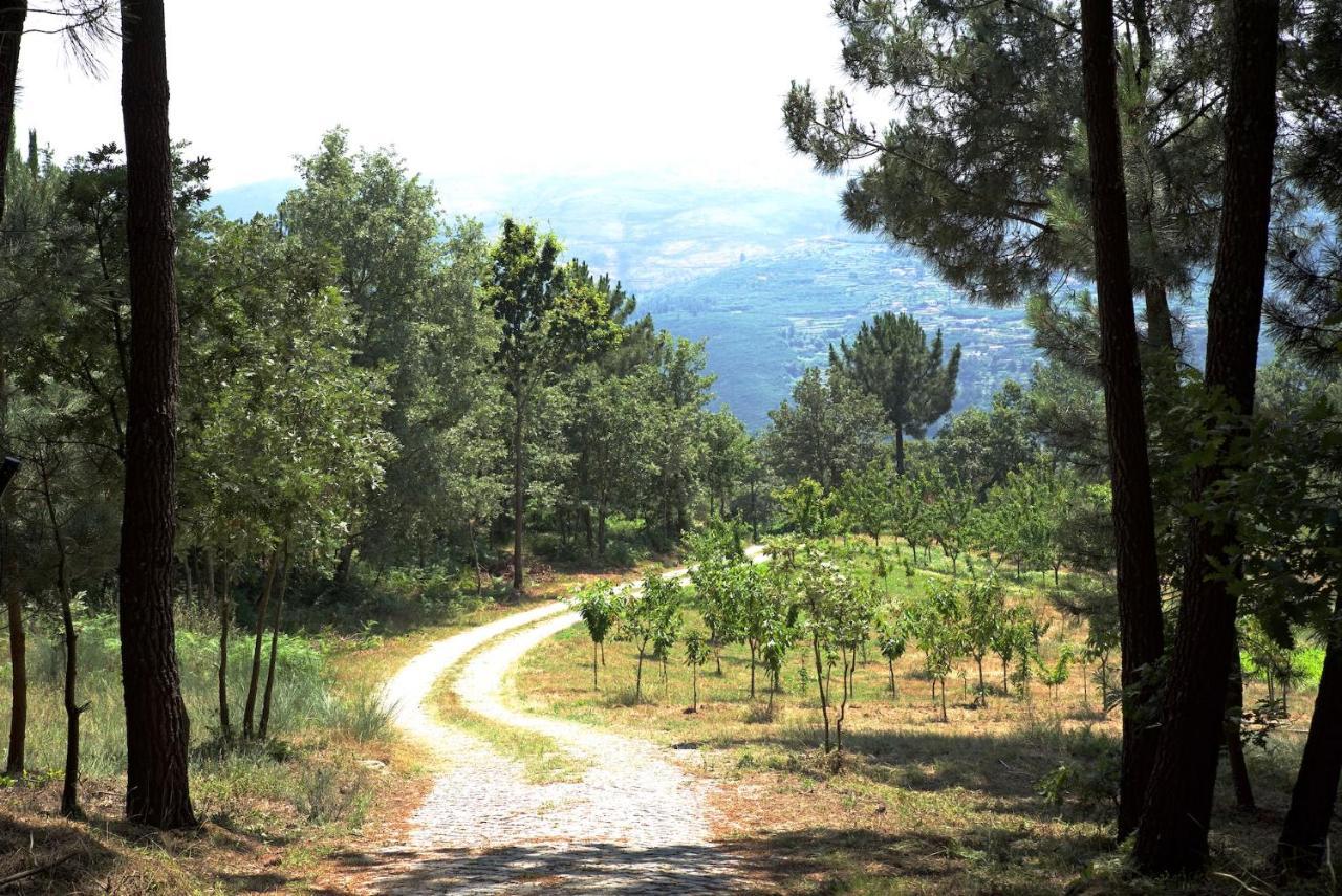 فيلا Quinta De S. Cipriano ريزندي المظهر الخارجي الصورة
