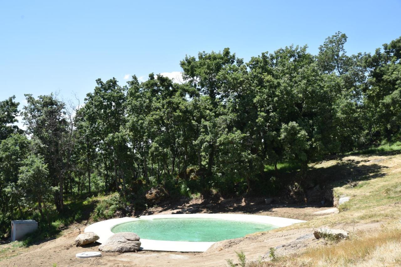 فيلا Quinta De S. Cipriano ريزندي المظهر الخارجي الصورة