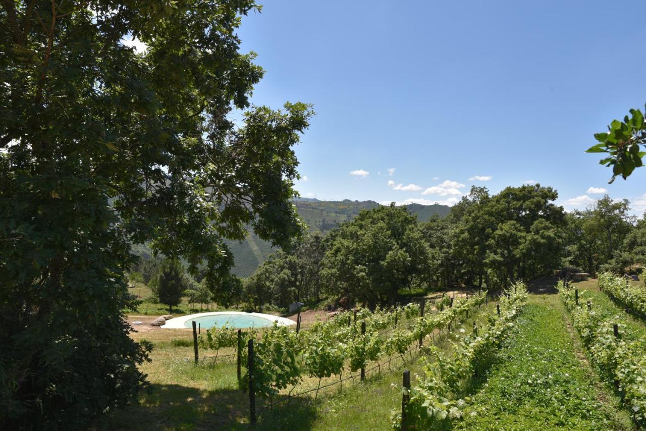 فيلا Quinta De S. Cipriano ريزندي المظهر الخارجي الصورة
